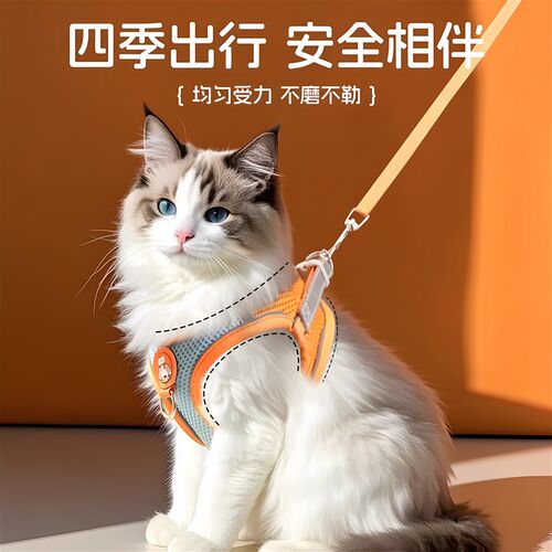猫咪牵引绳防挣脱不勒脖德文缅因暹罗豹猫外出专用小幼猫胸背反光