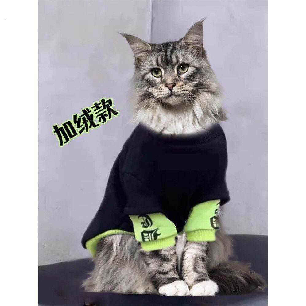 猫咪专用小衣服缅因幼猫咪穿的小衣服专用黑色帅气公猫秋春季高级