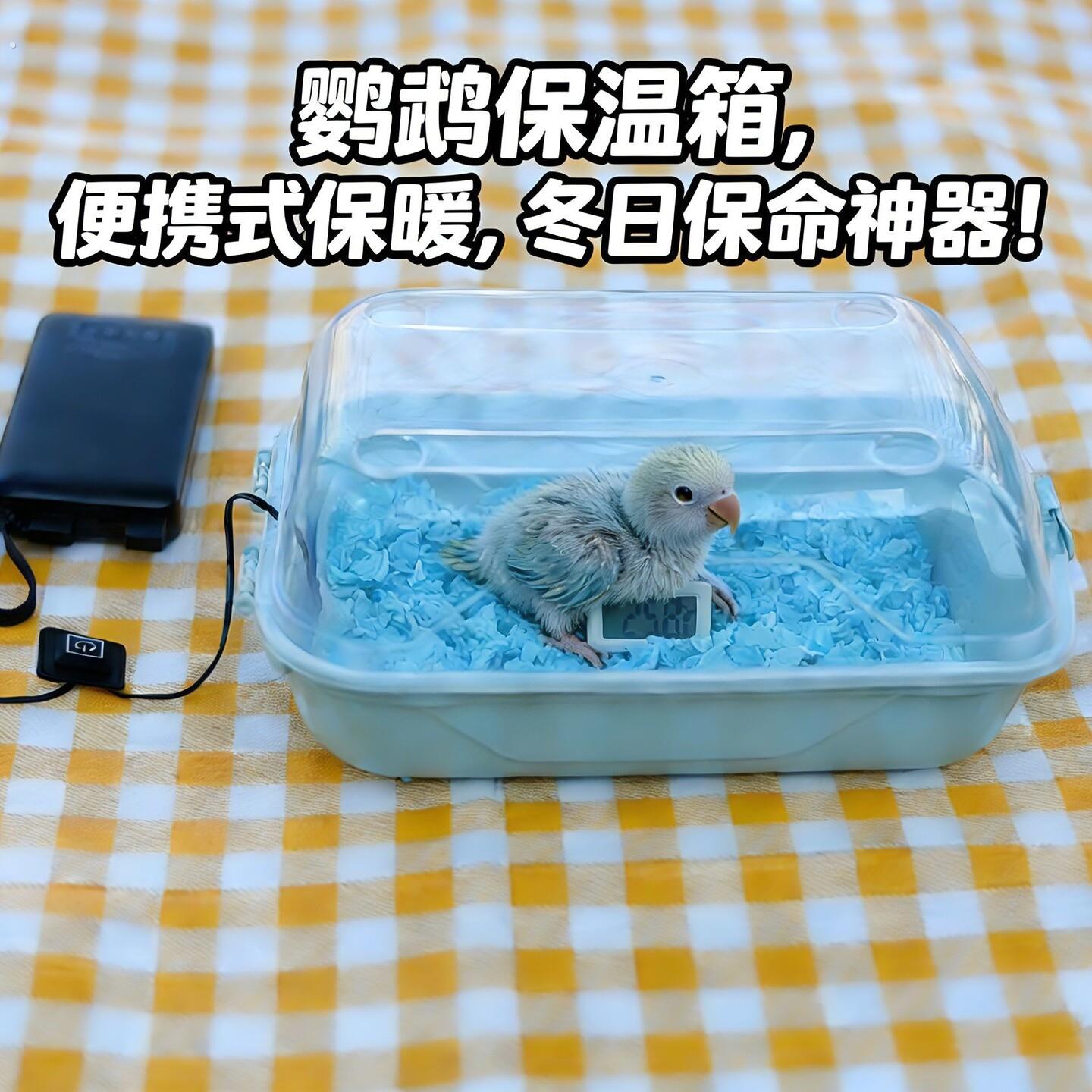 雏鸡保温箱鹦鹉保温箱幼鸟恒温箱牡丹玄凤虎皮小鸡手养育雏专用加
