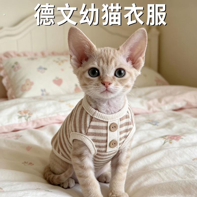 德文幼猫衣服猫咪专用夏季薄款背心斯克芬斯无毛猫防尘宠物服饰