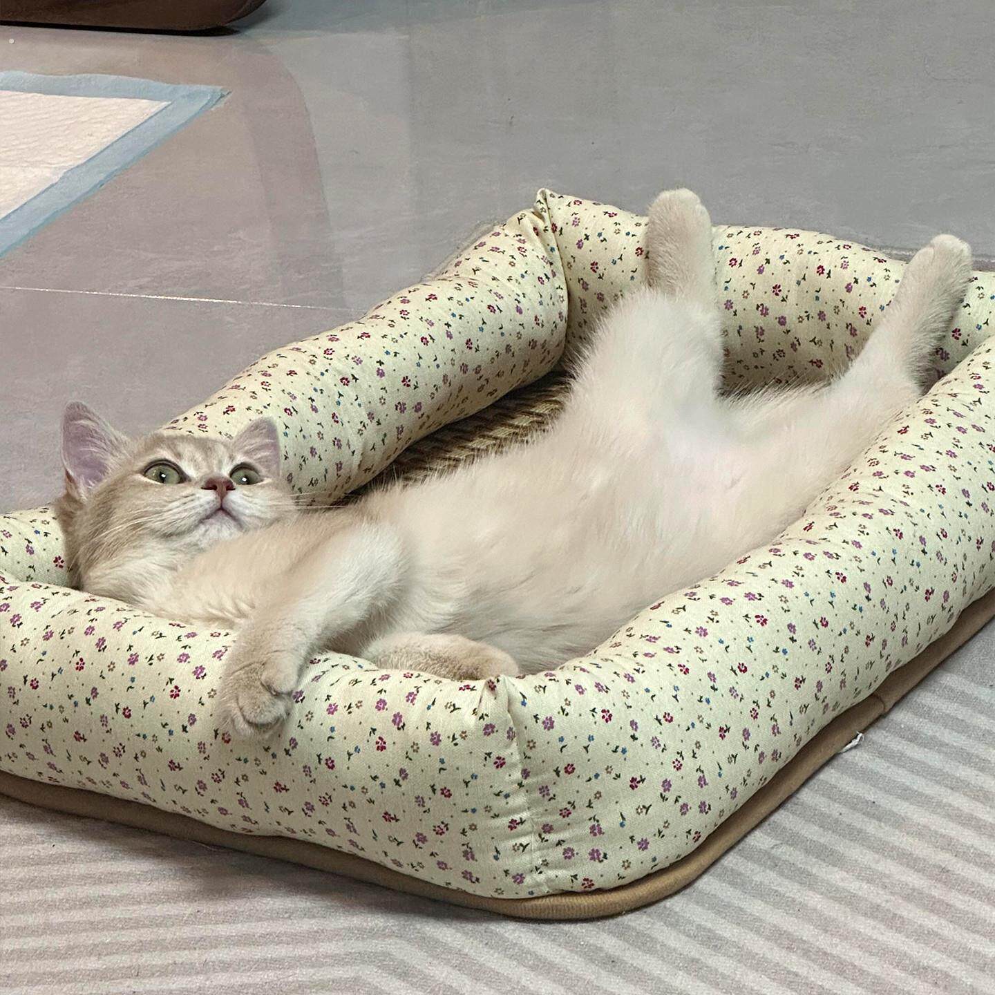 猫窝四季通用凉席垫子宠物春夏藤编狗窝可拆洗夏天猫咪沙发宠物窝