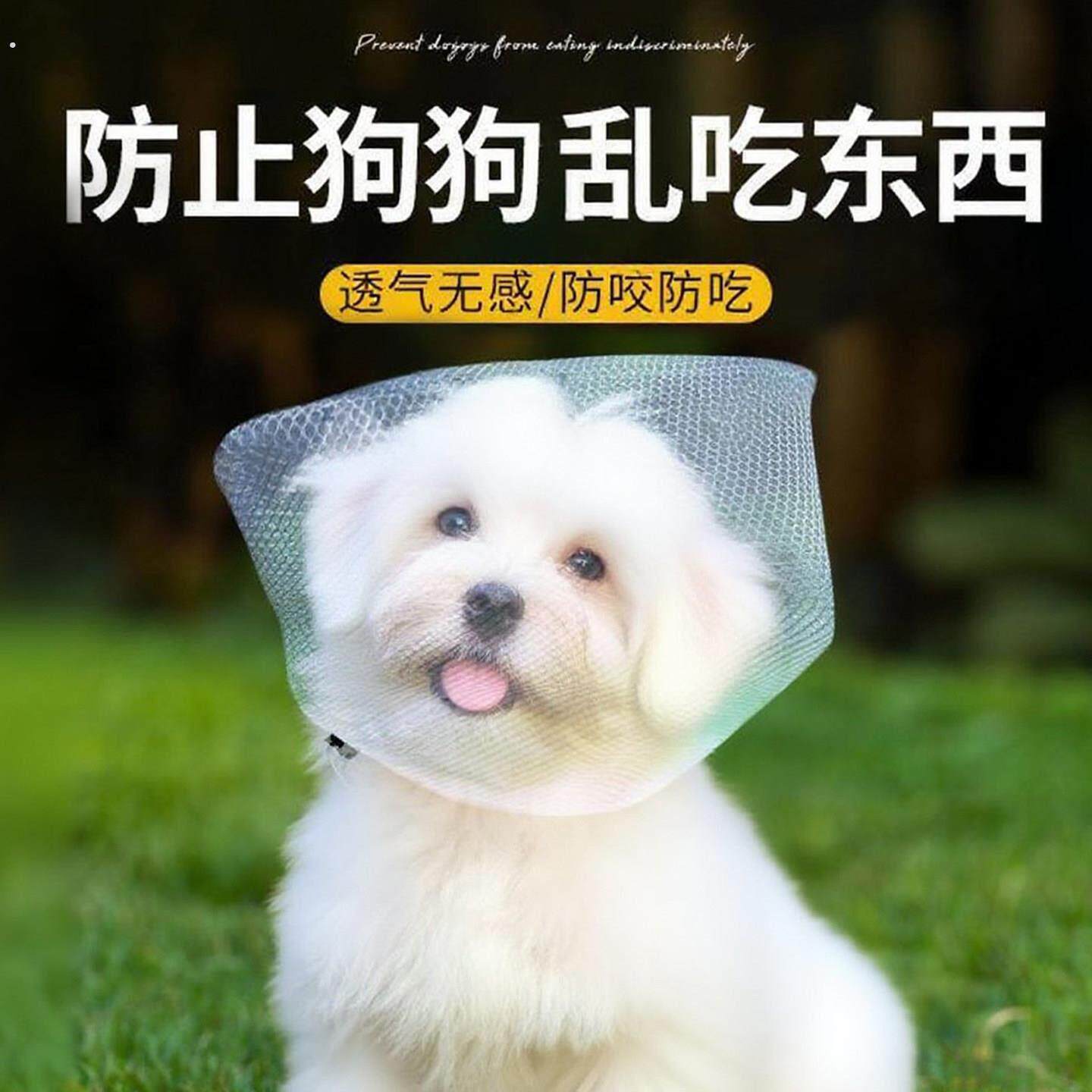 防止狗狗乱吃东西狗狗嘴套防咬乱吃嘴罩防舔网套小型口罩神器