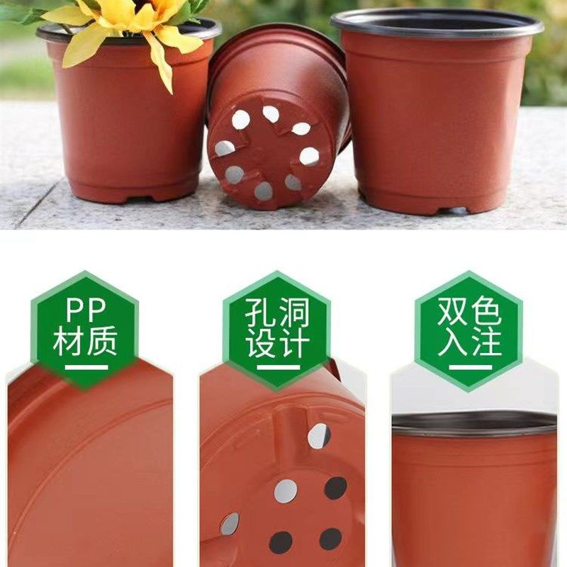 简约加厚双色盆白色育苗盆中等花盆普通红色种植盆一次性培育花盆