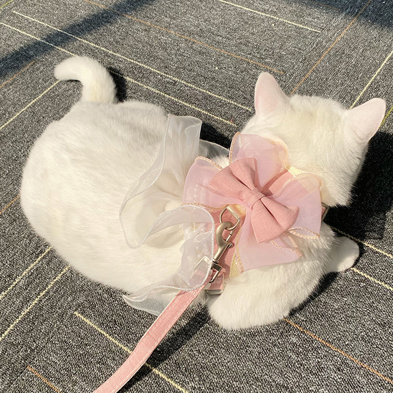 牵猫绳拴猫防挣脱溜猫绳可调节猫带网红猫链子栓猫绳子兔子牵引绳