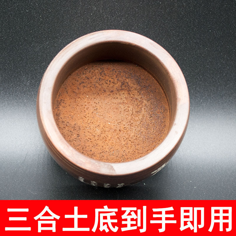 王立河腰鼓小带罐蛐蛐罐蟋蟀盆三合土底已煮茶老到手即用4个包邮