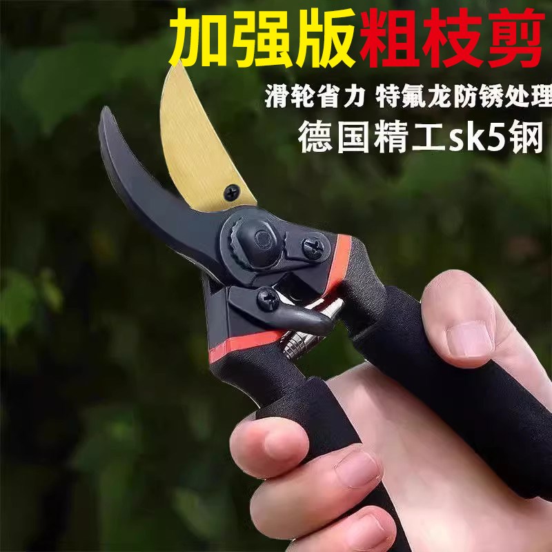 修枝剪园艺剪刀剪树枝专用剪刀园林修新款剪果树修枝花艺修花剪图片