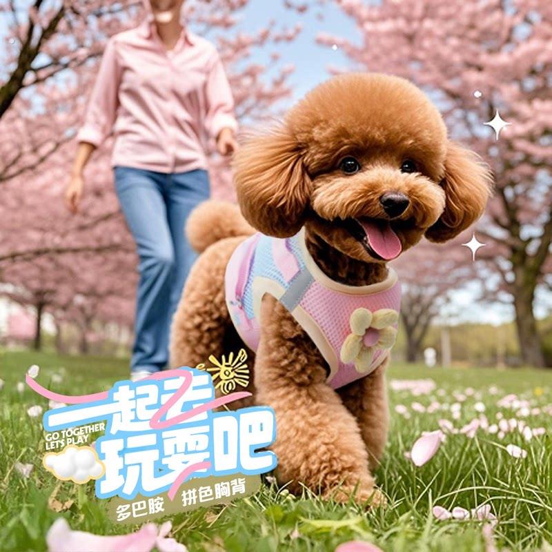 泰迪专用狗狗牵引绳春夏季胸背带中小型犬狗外出透气遛狗绳子狗链