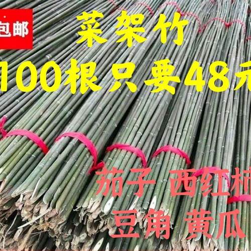 竹竿菜园搭架蔬菜爬藤支架黄瓜豆角篱笆栅栏细竹子