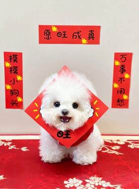 【愿旺成真】狗狗对联创意趣味春联喜庆新年猫窝对联马年2026新款