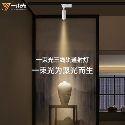一束光聚光射灯三线轨道灯明装客厅茶室艺术饰品博物馆氛围餐饮灯
