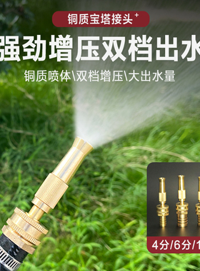 铜质宝塔接头高压洗车水枪增压水管家用喷嘴喷枪喷水头4/6分水嘴