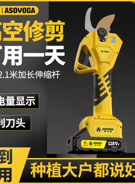 树枝剪刀充电式园林果树修枝剪锂电剪树枝电剪子电动剪刀剪枝神器
