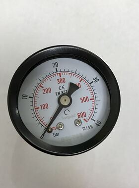 轴向压力表 Y-40 压力0-40bar 0-600psi 直径40mm 螺纹ZG1/4 雷派