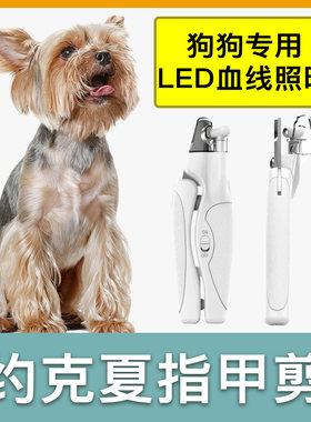 约克夏专用狗狗指甲剪指甲刀指甲钳宠物照血线带灯新手专用