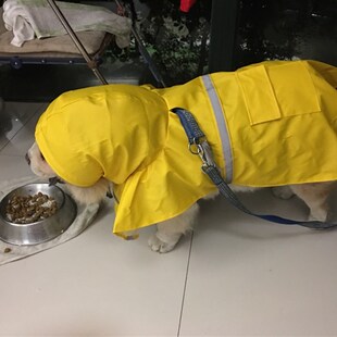海盗狗新款黄色英伦松狮雨衣狗狗雨披宠物大中型犬定制防水