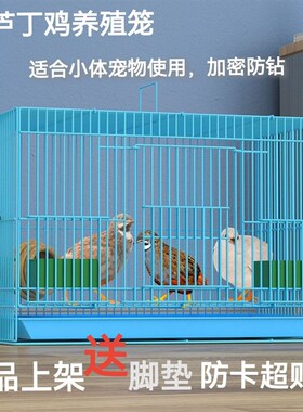 德国进口芦丁鸡专用养殖笼家用加密大号鸡笼子雏鸡雏鸭鹌鹑鸽子养