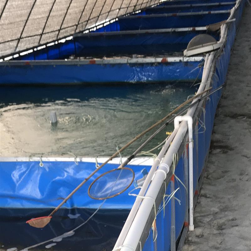刀刮布水池帆布池游泳池养殖鱼池蛙池蓄水帆布池加厚蓬布水袋定做