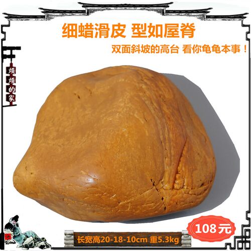 乌龟晒台天然黄蜡石大高腊石头鱼龟缸造景装饰黄缘龟爬坡晒背发色