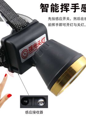 超亮感应蓝光夜钓灯照漂可装支架夜钓蓝光照漂头灯强光钓鱼灯充电