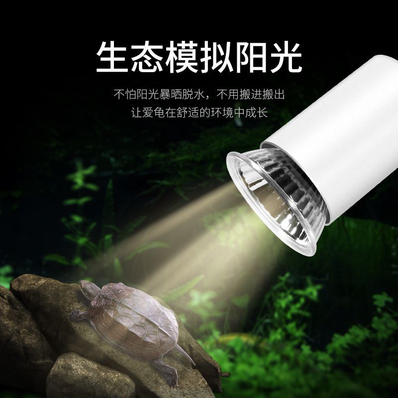 乌龟UVB晒背加热保温杀菌灯