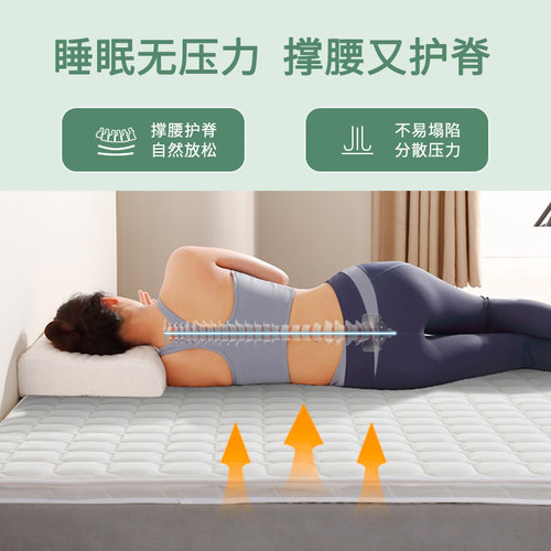 粽椰床垫棕榈硬天然家用加硬神器环保硬质软无甲醛榻榻米定制薄款
