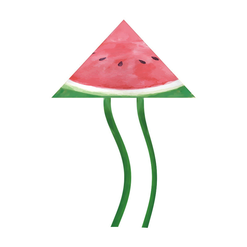 风筝山东潍坊 创意个性夏天清凉西瓜新手简单线轮易飞风筝二次元