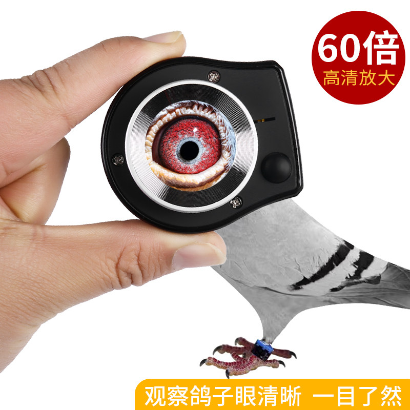 USB充电高清60倍紫光led灯放大镜看鸽子眼照布镜经纬向刻度显微镜