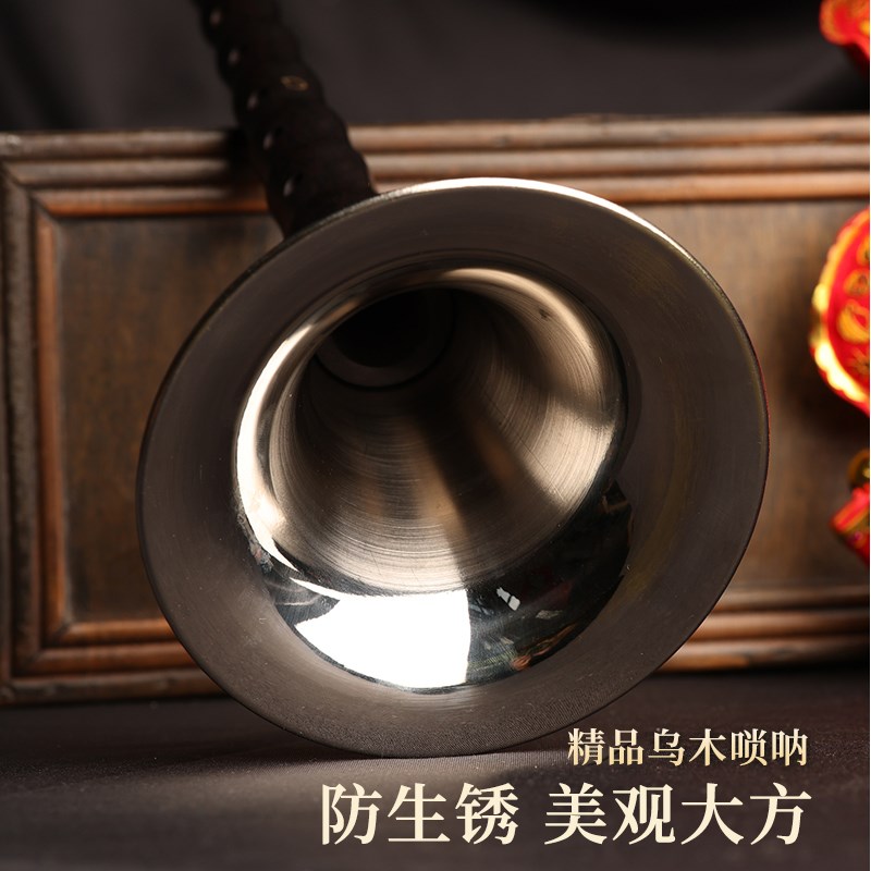 精品乌木全套唢呐乐器初学者D调演奏锁呐儿童大小号喇叭哨片包邮