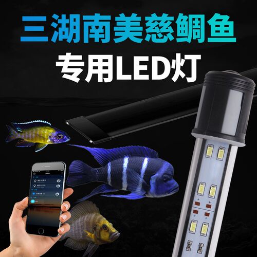 幽影三湖慈鲷专用鱼缸灯潜水双冷白蓝白引色萨伊南美增艳发色雷龙
