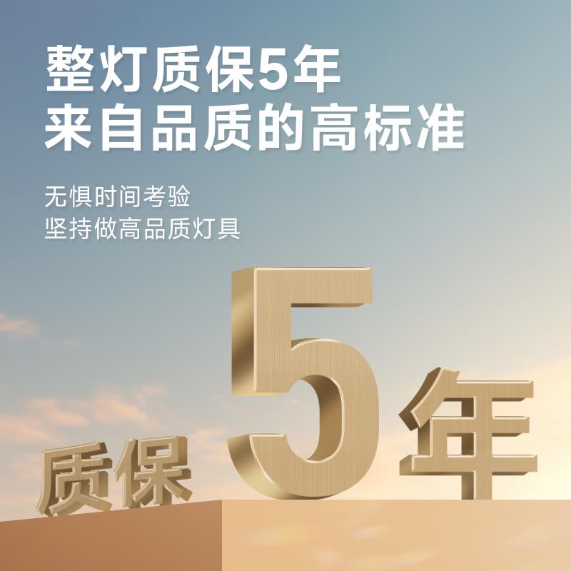 初识灯饰 超薄斗胆灯明装客厅双头四头全光谱防眩筒灯卧室无主灯