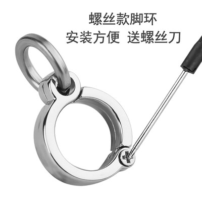 小太阳玄凤牡丹鹦鹉八哥专用脚环活扣超轻刻字鸟用不锈钢放飞脚炼