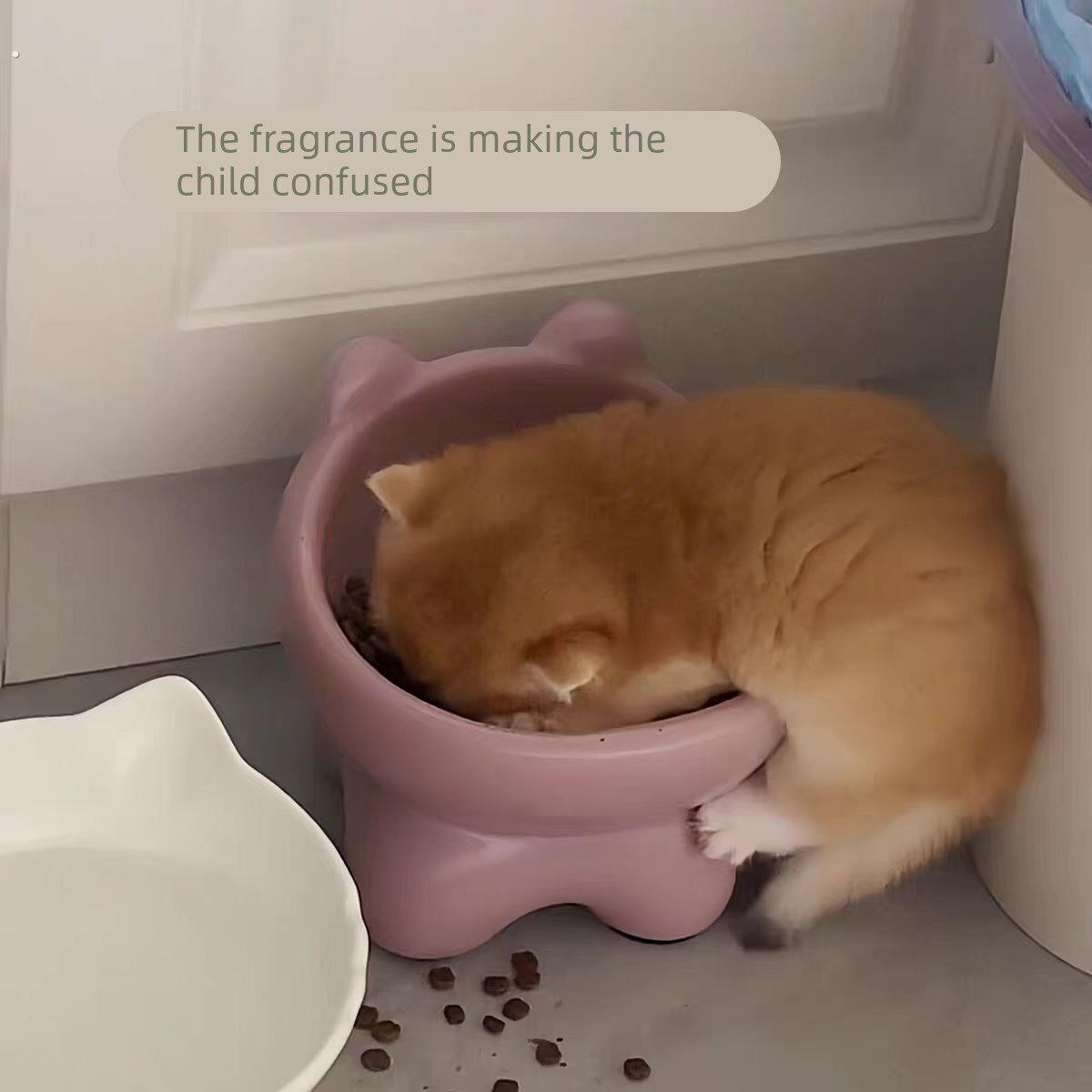 猫碗陶瓷猫食盆猫咪罐头碗餐盘子粮碗饭碗水碗宠物碗护颈不易打翻