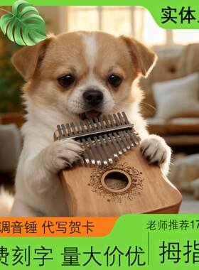 复古21音西洋乐器小型随身乐器17音拇指琴手指琴古风箱式拇指琴
