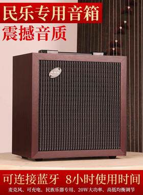 伊诺古筝音箱民乐专用音响路演舞台演出扩音器古筝拾音器二胡古琴