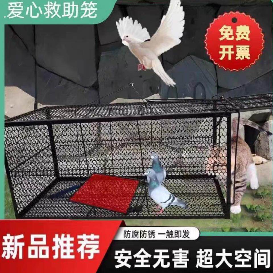 天落笼加密只进不出鸽子神器全自动捕猫笼驱猫笼人道救助寻猫笼子