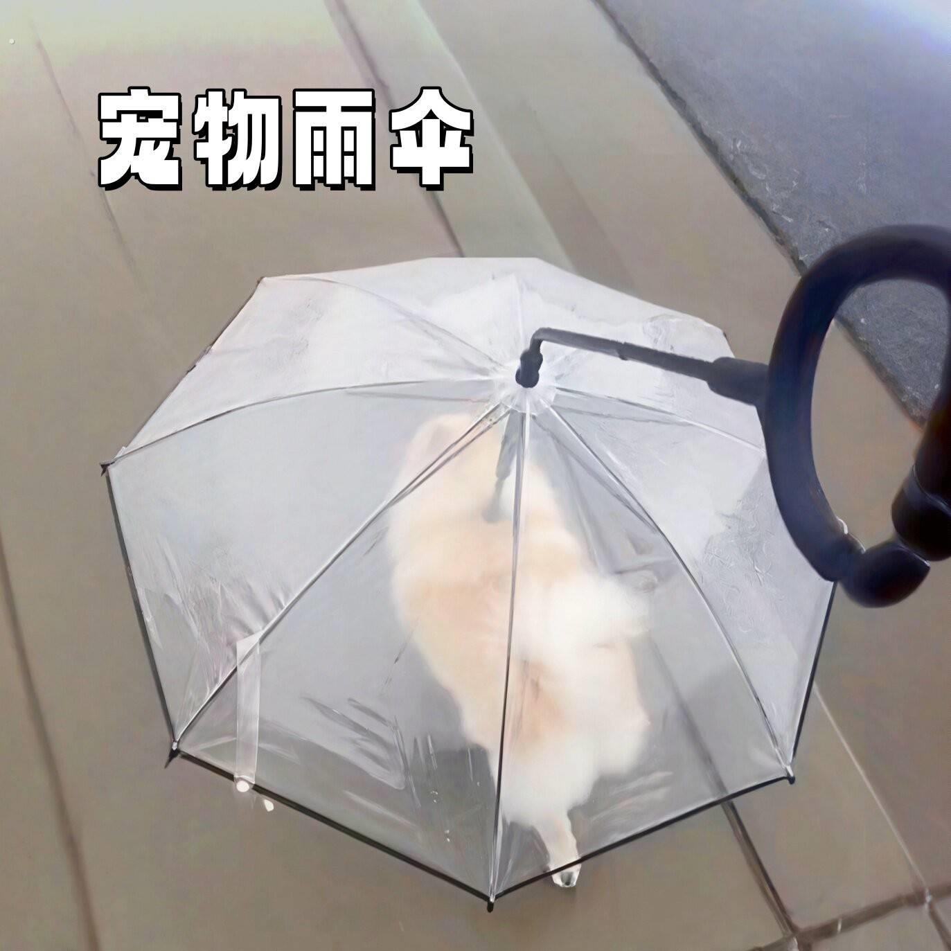 宠物雨伞狗狗牵引绳加粗可调节泰迪柯基中小型犬夏季雨天遛狗神器