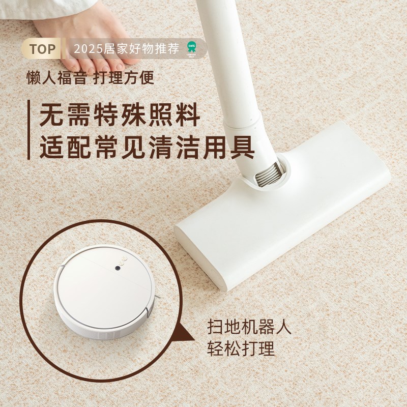地毯客厅2024新款轻奢高级感沙发茶几家用奶油风加厚卧室床边地垫