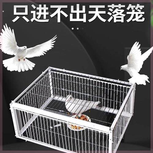 神器鸽子笼天落祇进不出户外捕全自动撞门加密收鸟笼用新款网