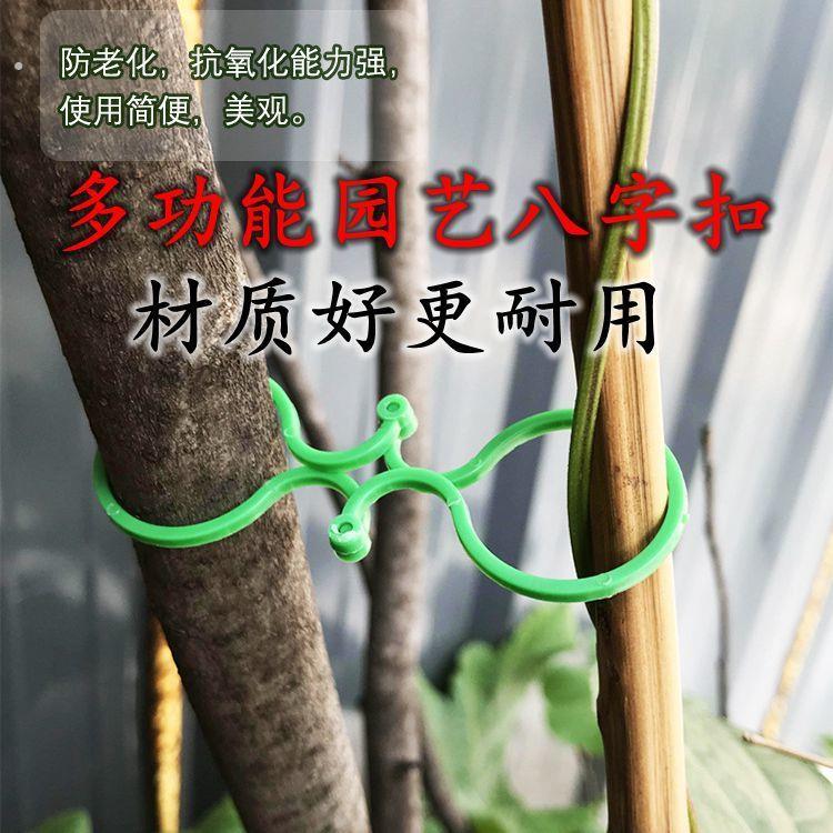 植物固定夹多功能园艺八字扣种植藤蔓固定夹爬藤植物茎秆支撑园林
