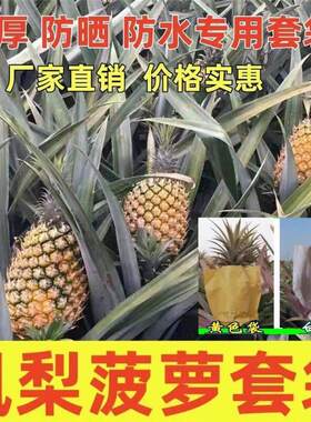 凤梨专用套袋防虫菠萝牛皮纸袋子通用防雨防晒透气加厚保护套风梨