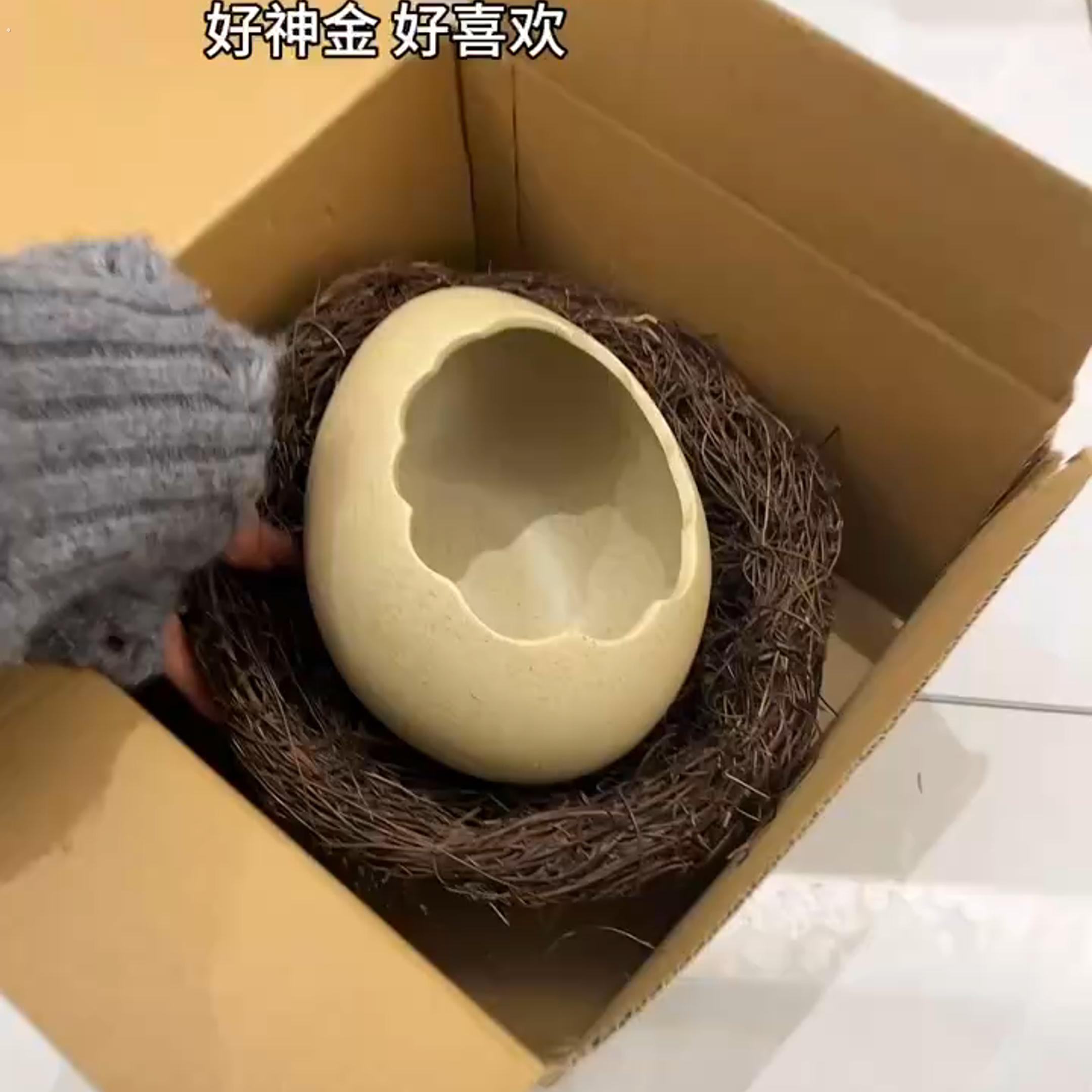 稀奇古怪的餐具蛋壳造型创意鸟巢鸟窝甜品冷饮烧烤饭厅泡面 面碗
