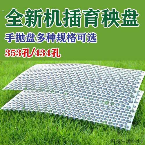 手抛水稻抛秧苗育苗加厚免揭塑料透明434孔353孔561农用秧盆秧盘