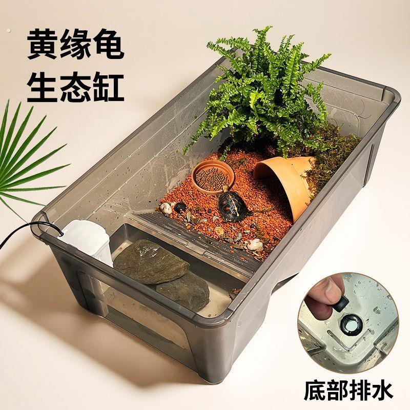 乌龟缸黄缘专用饲养箱造景生态大号缸水陆两栖半水龟躲避家用龟缸