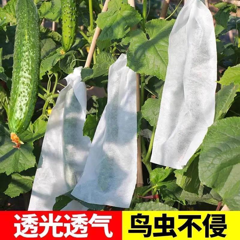 苦瓜套袋网袋丝瓜防虫袋不织布羊角蜜青瓜黄瓜保护防蜂果蝇套袋子