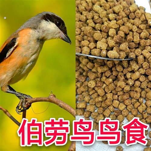 伯劳鸟食饲料胡不拉饲料屠夫鸟鸟食
