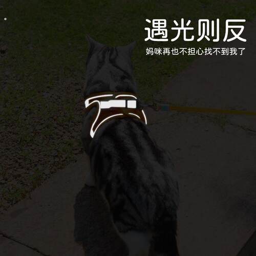 小猫牵引绳猫咪牵引绳防挣脱专用猫绳小型犬胸抱婴袋绳子溜猫绳宠