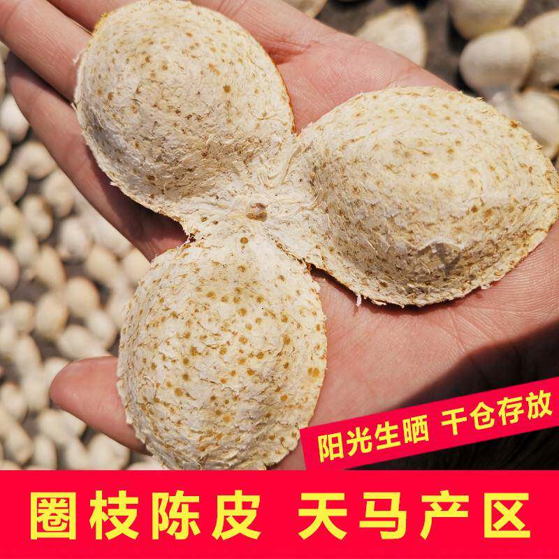 天马新鲜柑果圈枝柑广东新会陈皮大红色二红皮果皮小青柑陈皮干50