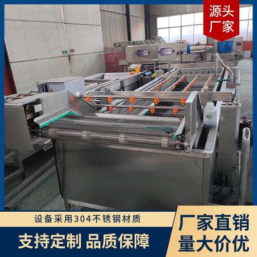 瓜果压喷淋清洗机大葱萝卜气泡清洗设备羊角蜜辣木叶清洗线