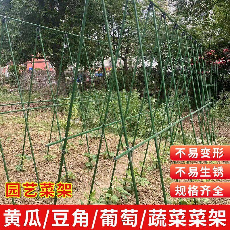 爬藤架黄瓜四季豆架杆西瓜豆角支撑杆番茄蔬菜葡萄植物瓜棚搭架子图片