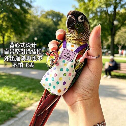 鹦鹉尿不湿按扣款鸟用玄凤牡丹小太阳虎皮屎尿便兜尿